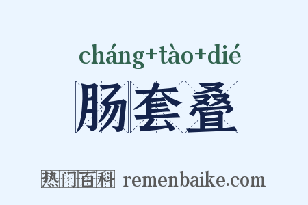 肠套叠是什么意思的图片